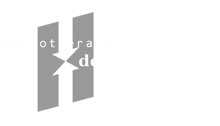 Fysiotherapie Heerderrein